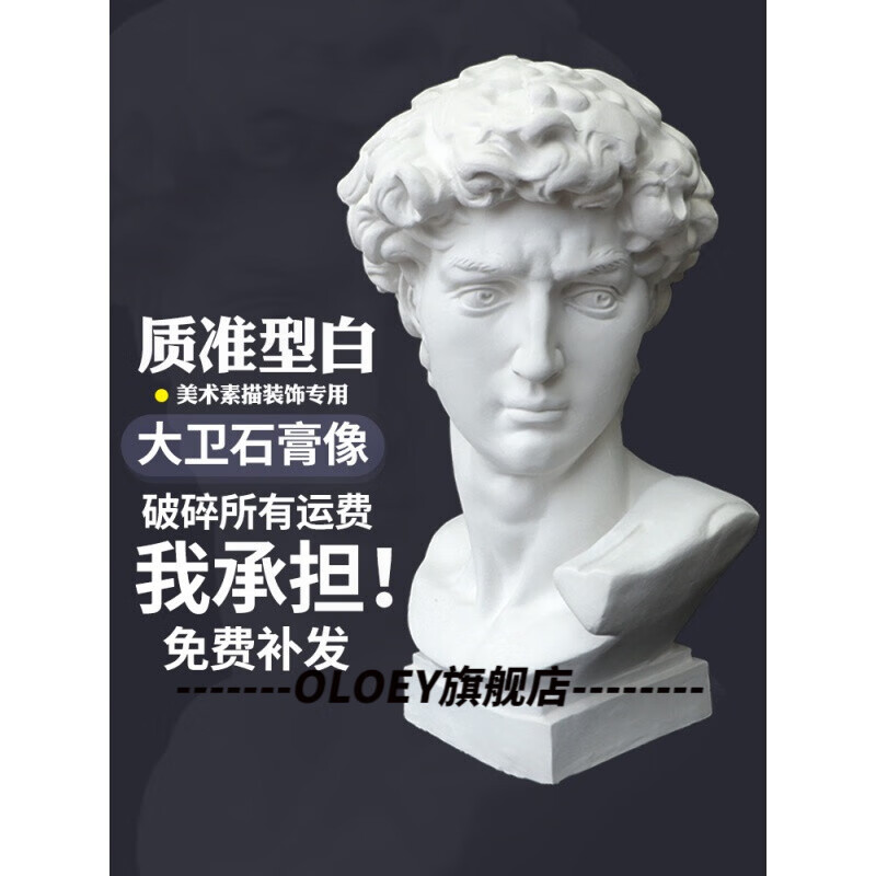 兰琦欧2024新款大卫石膏像 大卫石膏像素描石膏头像写生雕塑头像美术