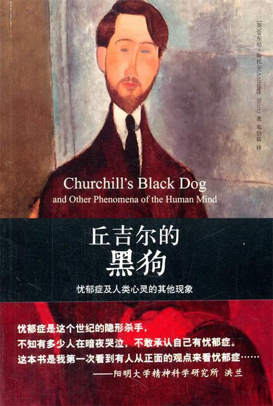丘吉尔的黑狗-忧郁症及人类心灵的其他现象 (英)斯托尔,邓伯宸【正版】