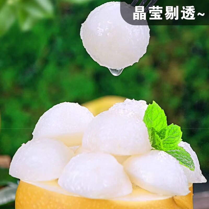 觅百果正宗山东莱阳秋月梨新鲜水果梨子现摘当季冰糖蜜梨团购礼品整箱 带箱9.5-10斤果王【10-12枚】甄选装