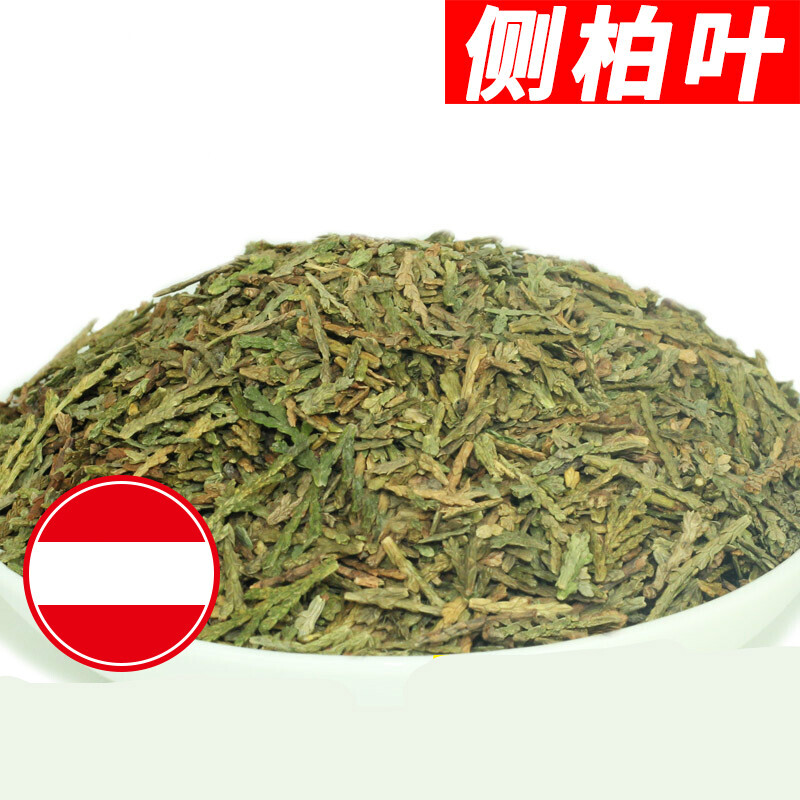 伟博中药材侧柏叶泡酒 生侧柏叶乌发 乌黑枕头扁柏叶500g新鲜