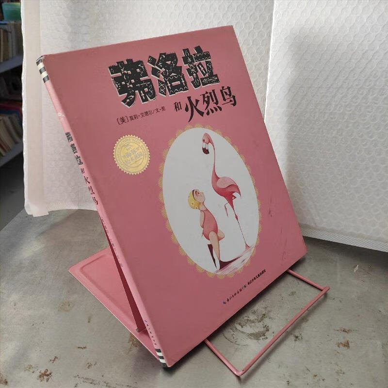 9成新二手书 弗洛拉和火烈鸟 /[美]莫莉·艾德尔 长江少年儿童出