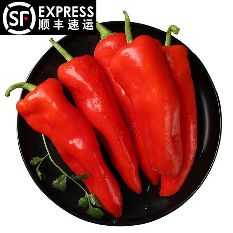 辰实山东新鲜辣椒【发顺丰】大红辣椒 红辣椒 农家现摘辣椒 5斤