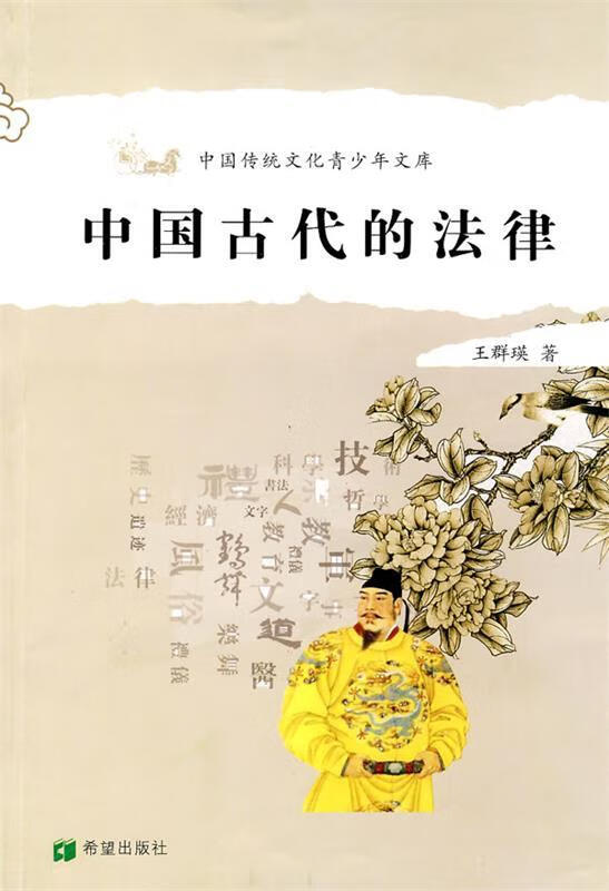中国古代的法律 王群瑛著【正版】