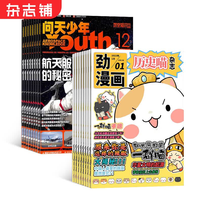 历史喵+问天少年杂志组合订阅 2024年1月起订 组合共24期  历史启蒙培养 历史兴趣漫画读物 青少年课外阅读 6-12-15岁少儿阅读 杂志铺假如如果历史是一群喵属于什么档次？
