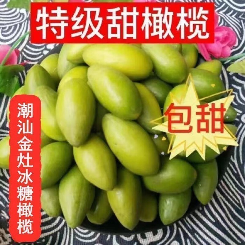 2025潮汕金灶特產(chǎn)青橄欖果現(xiàn)摘新鮮二號(hào)甜種橄欖柑欖生吃無渣脆甜 50克【試吃】約5顆