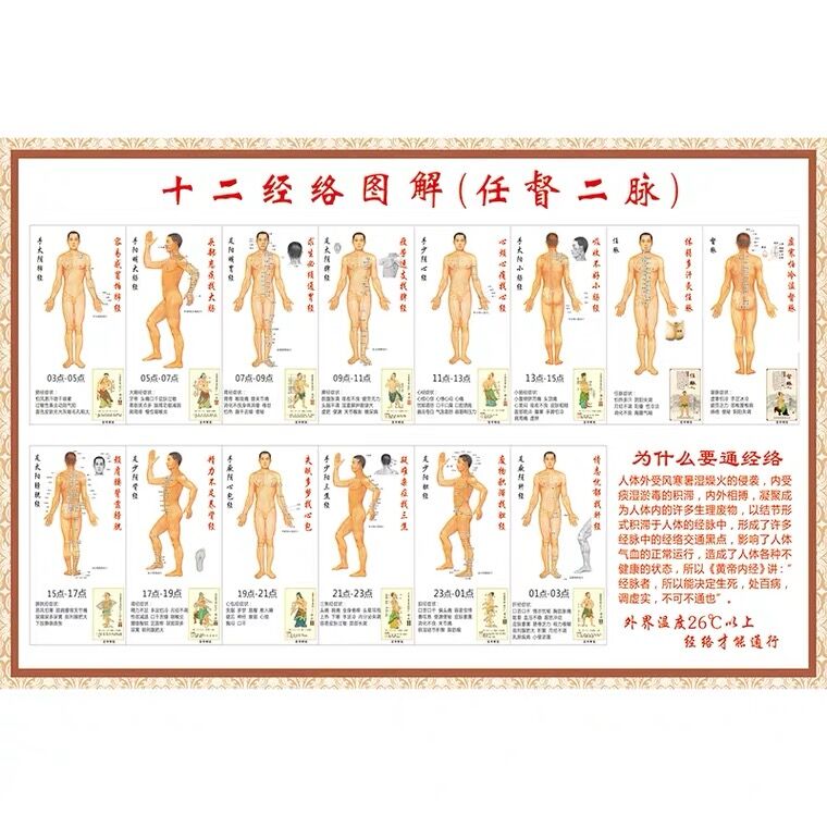 京京 人体十二经络穴位图解任督二脉挂图中医养生保健穴位挂图海报