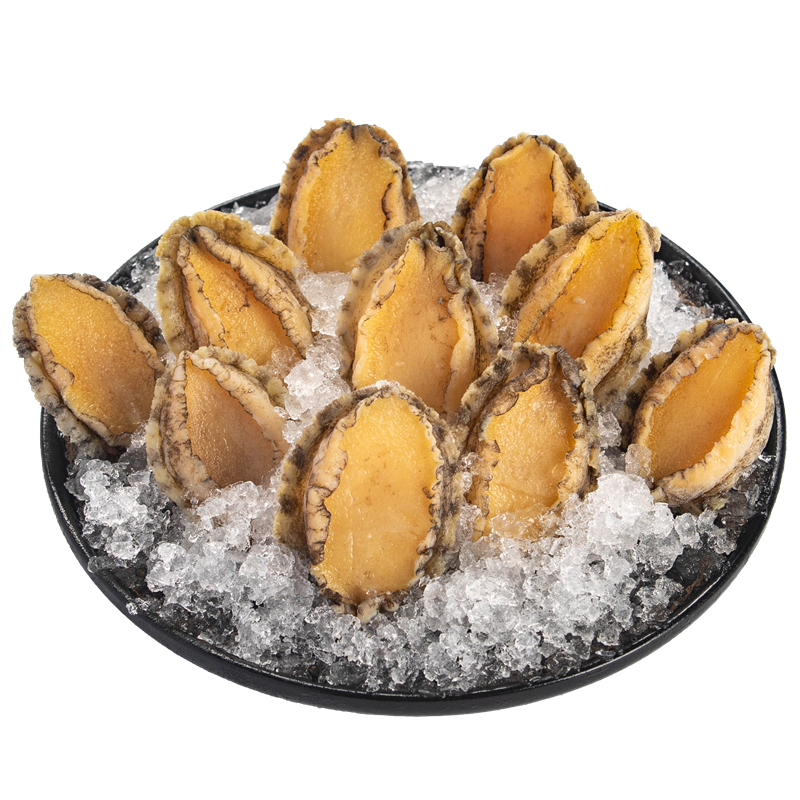 江船長冷凍新鮮大號鮑魚1斤生鮮貝類火鍋食材燒烤海鮮水產(chǎn)三去免處理 500g 約22只 每只約23-25g