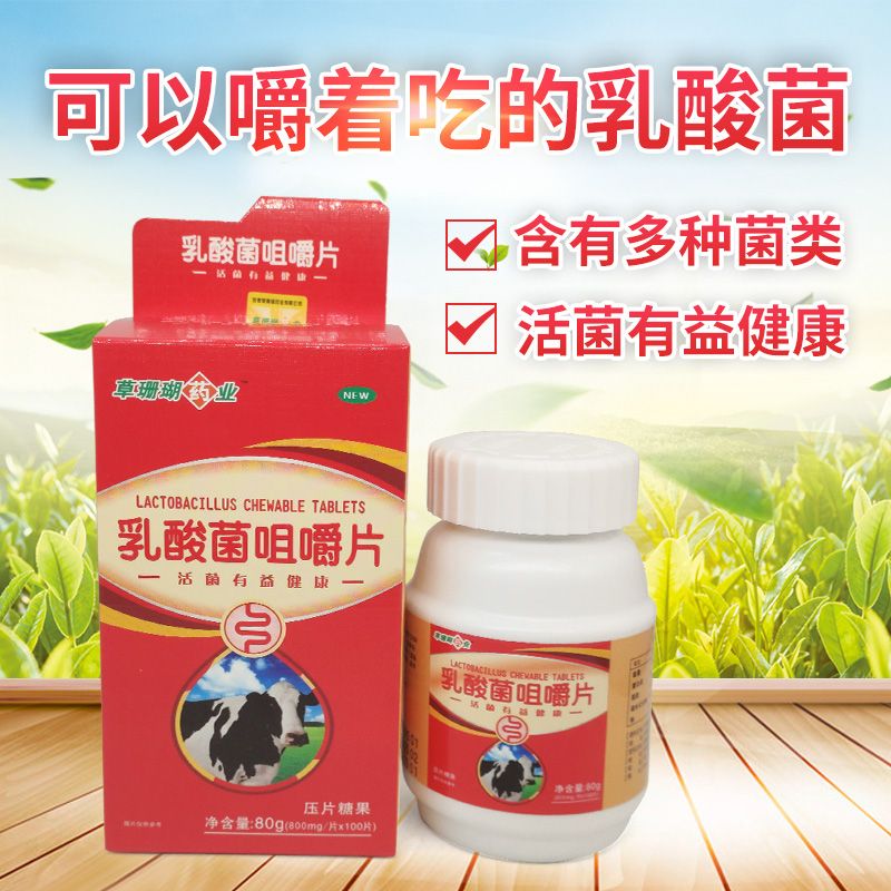 乳酸菌咀嚼片100片肠道益生菌儿童成人活菌益健康 一盒装