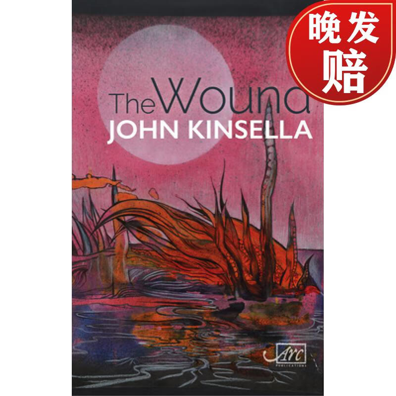 amazed : translations, adaptations, versions, extrapolations