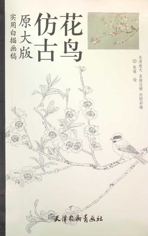 仿古花鸟(原大版实用白描画稿)