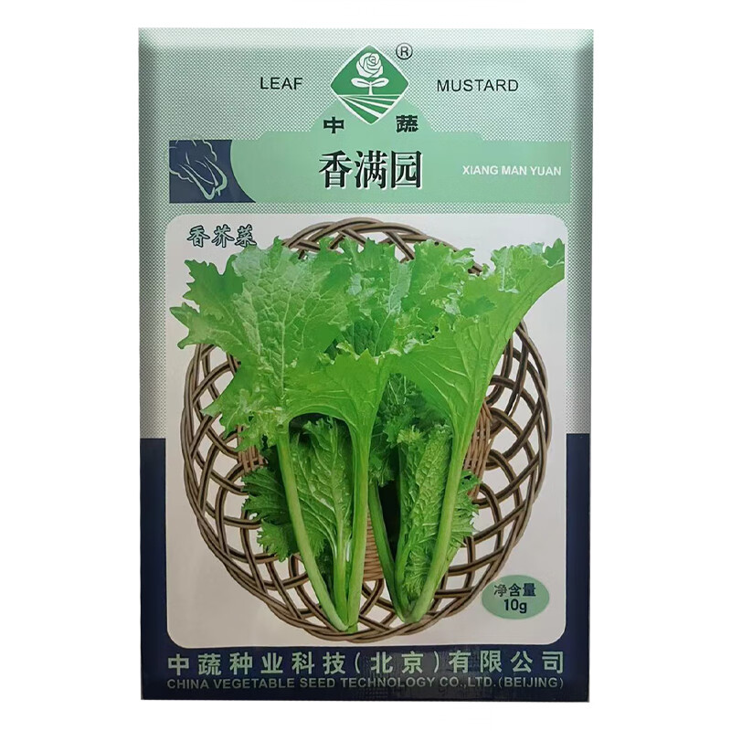中蔬香叶菜种子美味香芥菜种籽特色小青菜四川春秋冬季农家田园蔬菜孑
