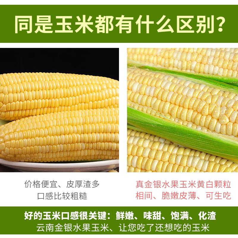 中鲜生云南水果玉米 新鲜甜玉米 现摘玉米棒 生鲜蔬菜可生吃火锅食材 9斤 水果玉米【净重】约9-16根