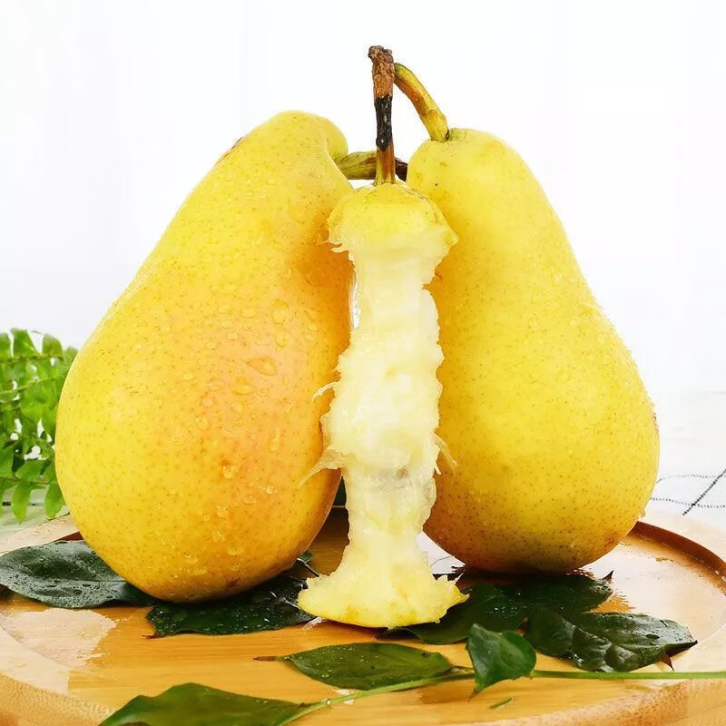 【现发】太婆梨香蕉梨大头梨啤梨水果新鲜1斤 【精品太婆梨5斤】净重 中果