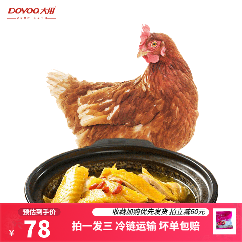 鸡肉如何查历史价格|鸡肉价格比较