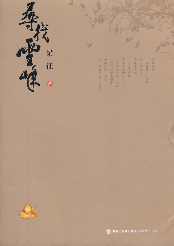 寻找雪峰【正版图书】