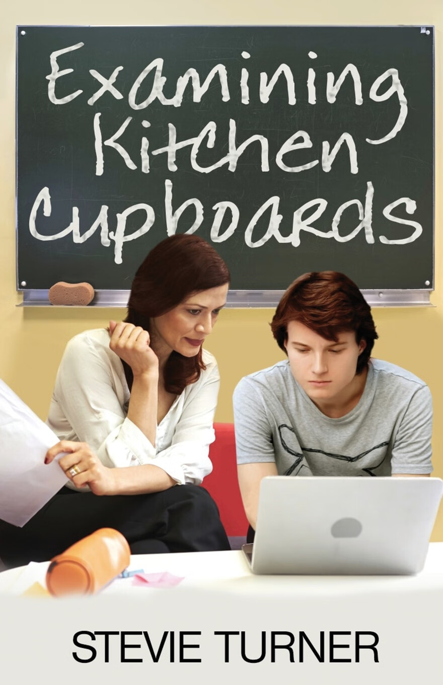 【预售 按需印刷】examining kitchen cupboards
