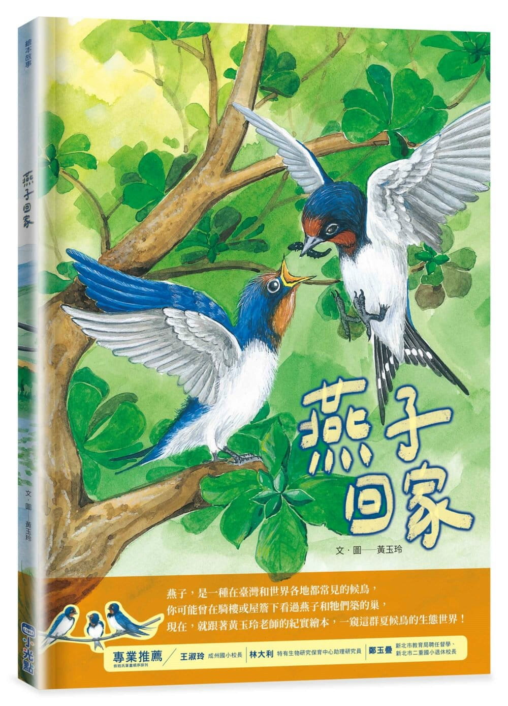 预售 黄玉玲 燕子回家 小光点