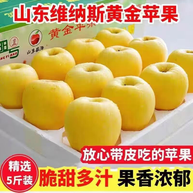 京蚨鲜维纳斯黄金苹果脆甜新鲜水果时令生鲜 带箱9.5-10斤中果【70-75mm】