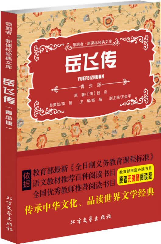 岳飞传9787531732686【正版好书】