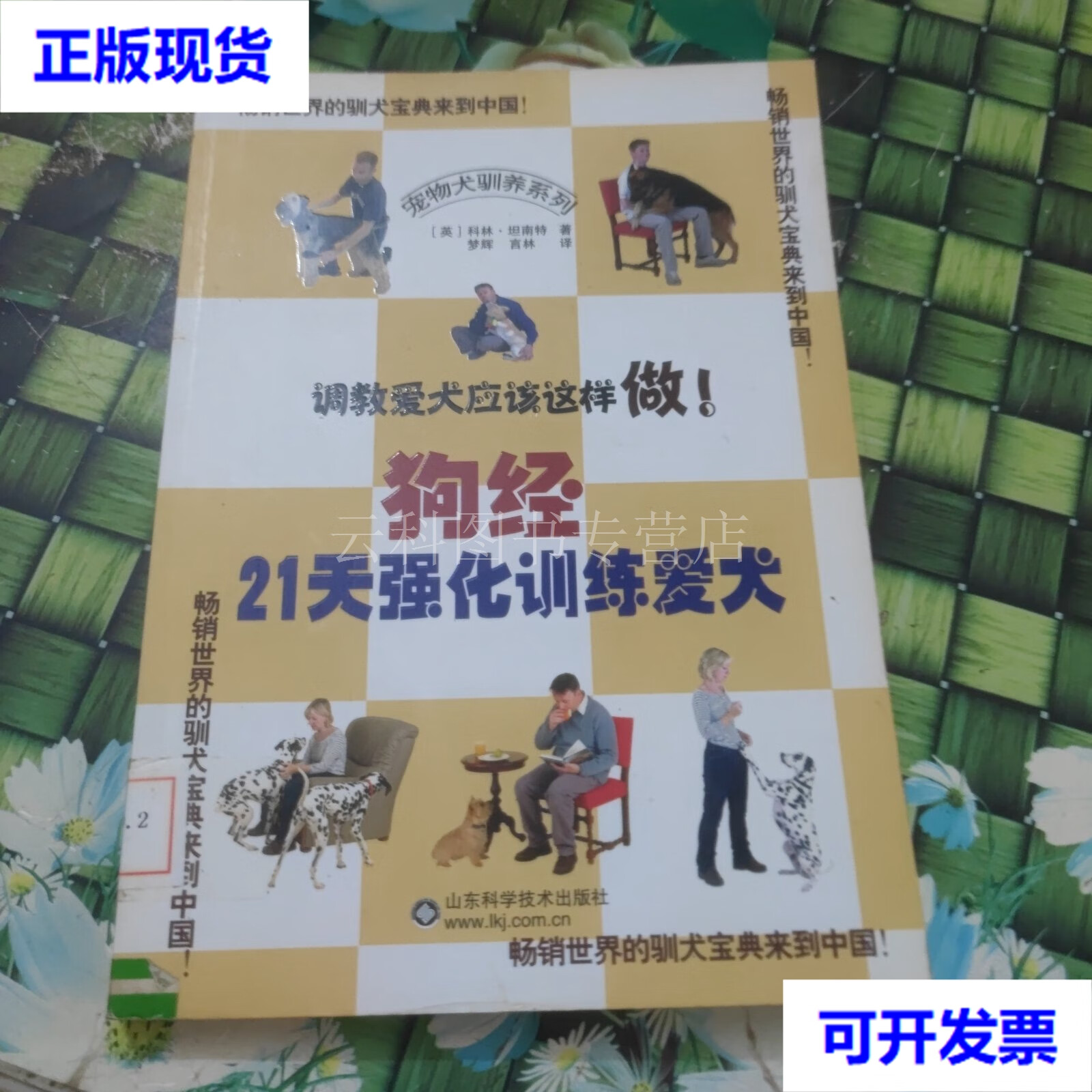 狗经-21天强化训练爱犬 正版 二手书