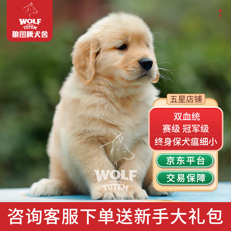 狗狗活体价格查询历史|狗狗活体价格走势图