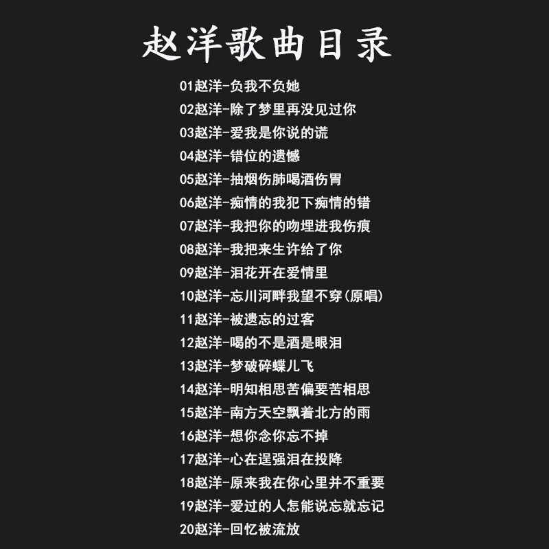 捷频负我不负她歌曲dj 汽车用车载音乐cd光盘碟片无损 赵洋专辑伤感