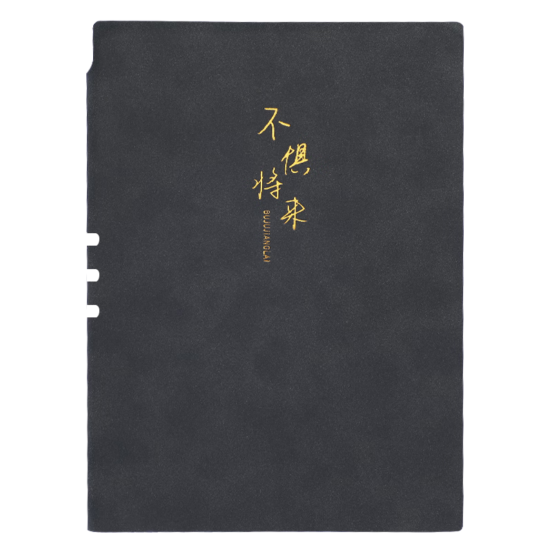 嘉然恒 笔记本本子笔插加厚A5羊巴皮面记事本商务会议记录本软面抄大学生手账本文艺励志日记本可定制-黑色t