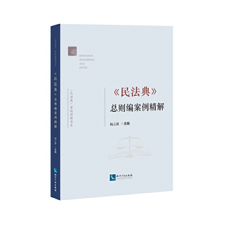 《民法典》总则编案例精解