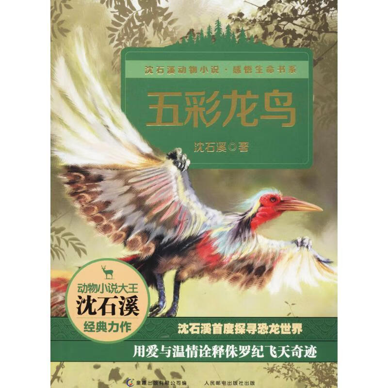 五彩龙鸟