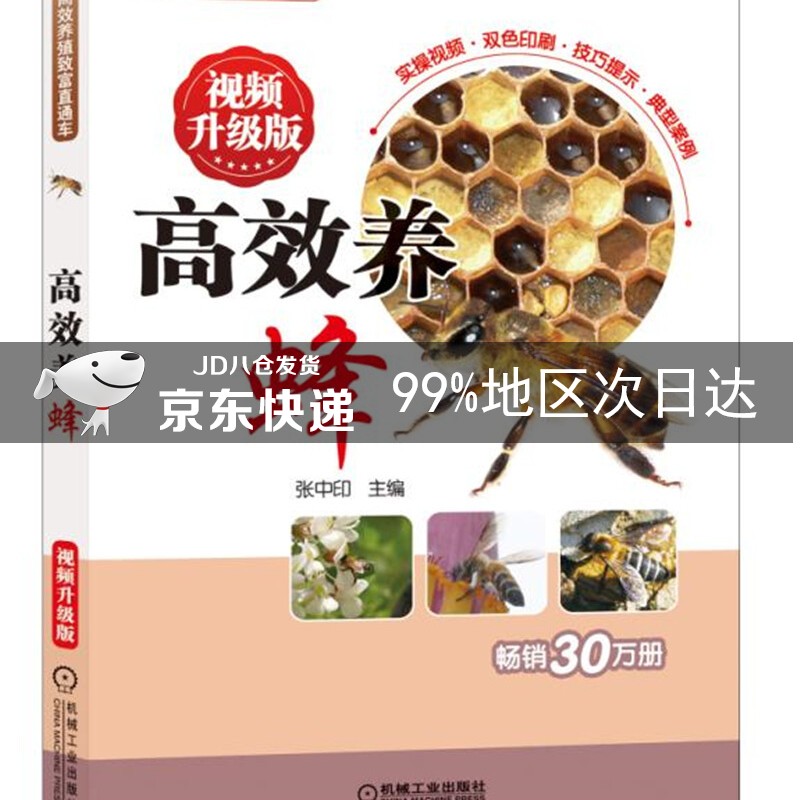 高效养蜂 视频升级版