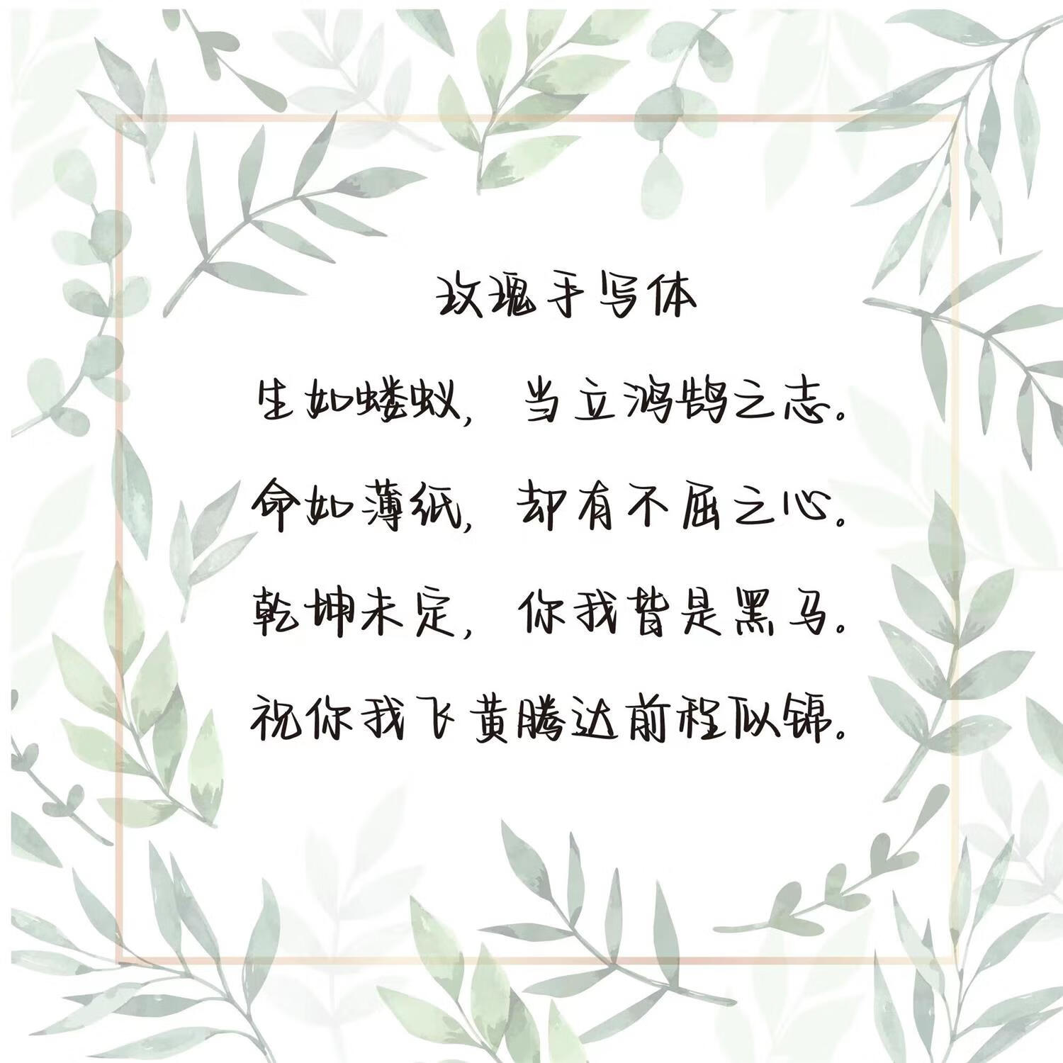 董宇辉经典文案语录大全作文素材金句摘抄玫瑰体鲸落体硬笔练字帖