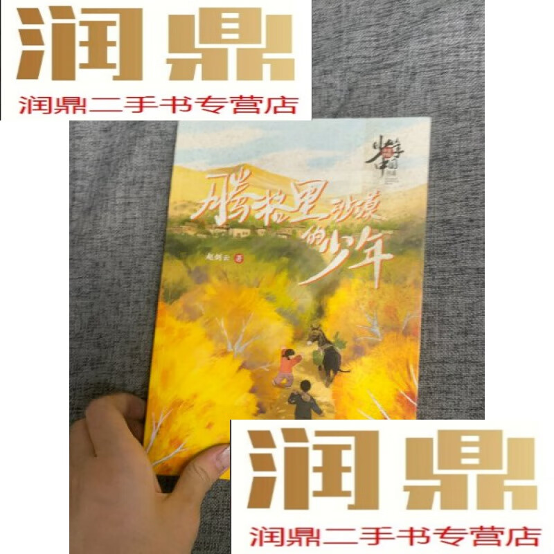 【二手九成新】少年中国书系·腾格里沙漠的少年(福建省暑期)