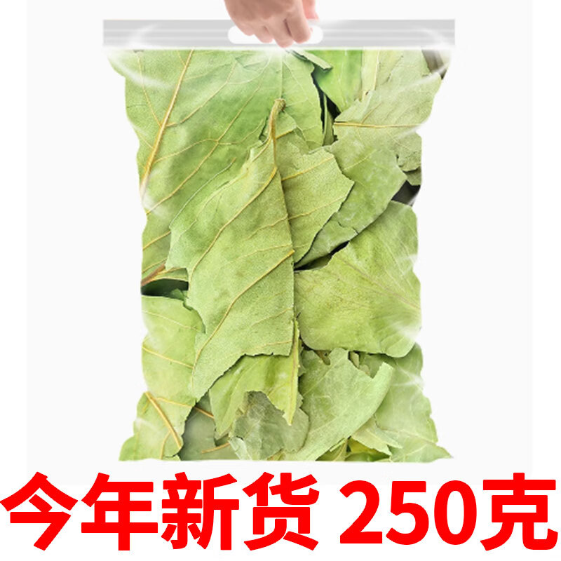 柿子叶降i血压茶2024年新货干柿子叶非柿子叶粉末霜后柿叶的功效柿子