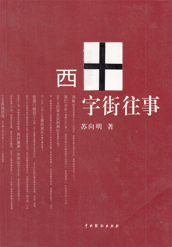 西字街往事 苏向明【正版书】
