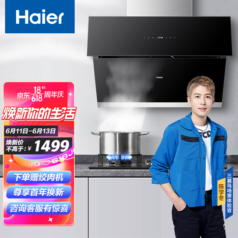 海尔（Haier）抽油烟机 侧吸油烟机 热熔自清洁 20立方大吸力 一级能效 吸油烟机 CXW-219-E900C11