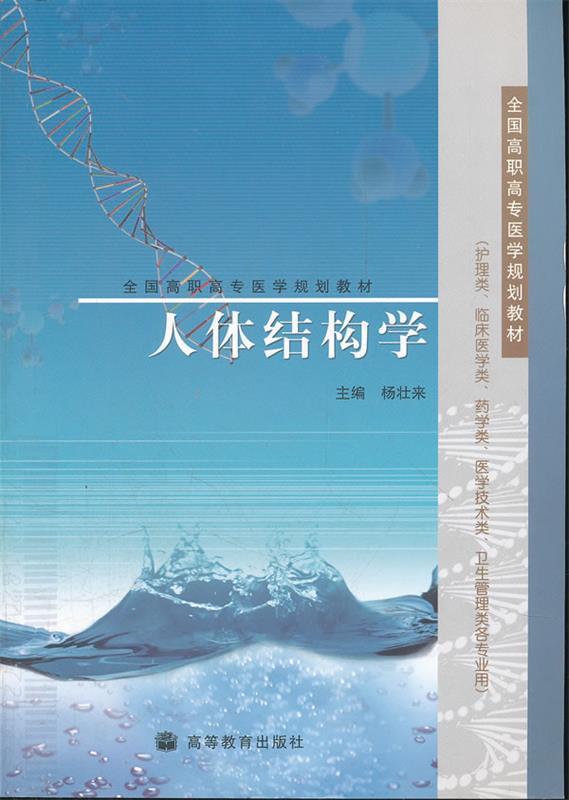 人体结构学 杨壮来【正版书】