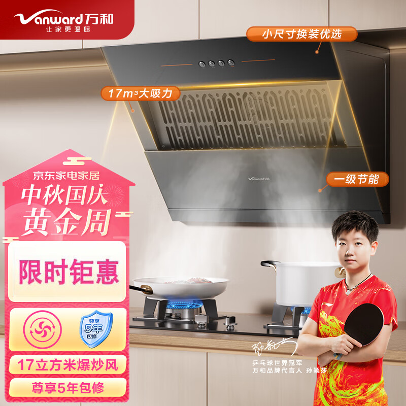 万和（Vanward）侧吸式家用抽油烟机 单烟机 小尺寸大吸力 小户型老式厨房脱排钢化玻璃油烟机  CXW-260-J320A属于什么档次？