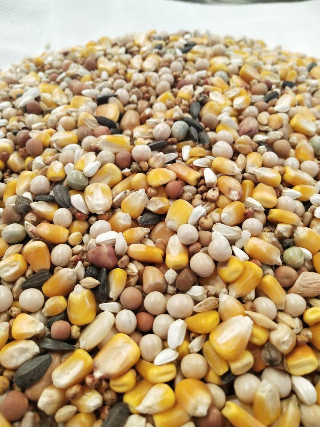 致仕 zisiz鸽粮批发20斤装有玉米鸽粮赛飞营养饲料鸟食信肉观赏鸽粮