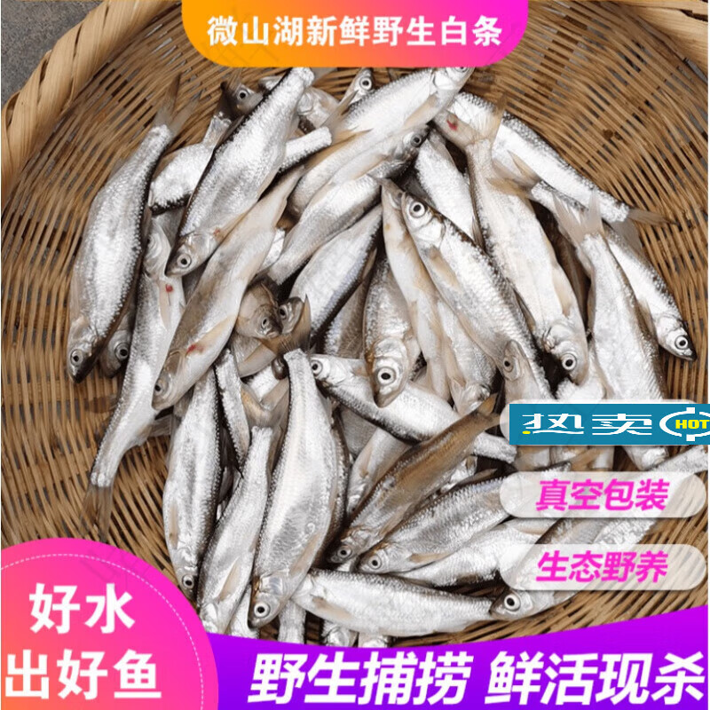 安峰山新鲜白条鱼现杀保鲜发货淡水杂鱼小河鱼餐条鱼翘嘴 真空包装