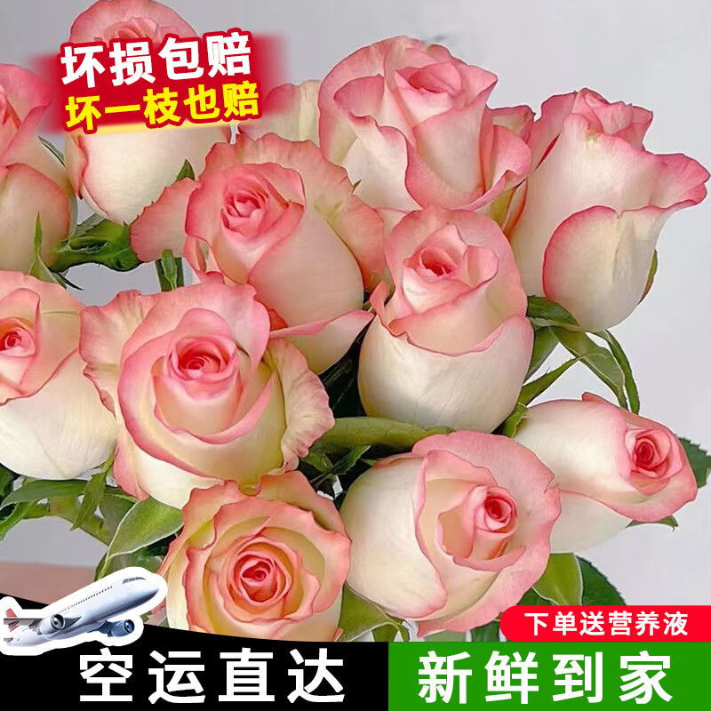 �����ʻ�õ����ˮ�ٺ����տ���ͥˮ�����л���������ֱ�� ��ɯõ��-10֦ ��ѡ2�����������M