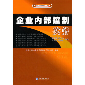 企业内部控制实务【正版图书】