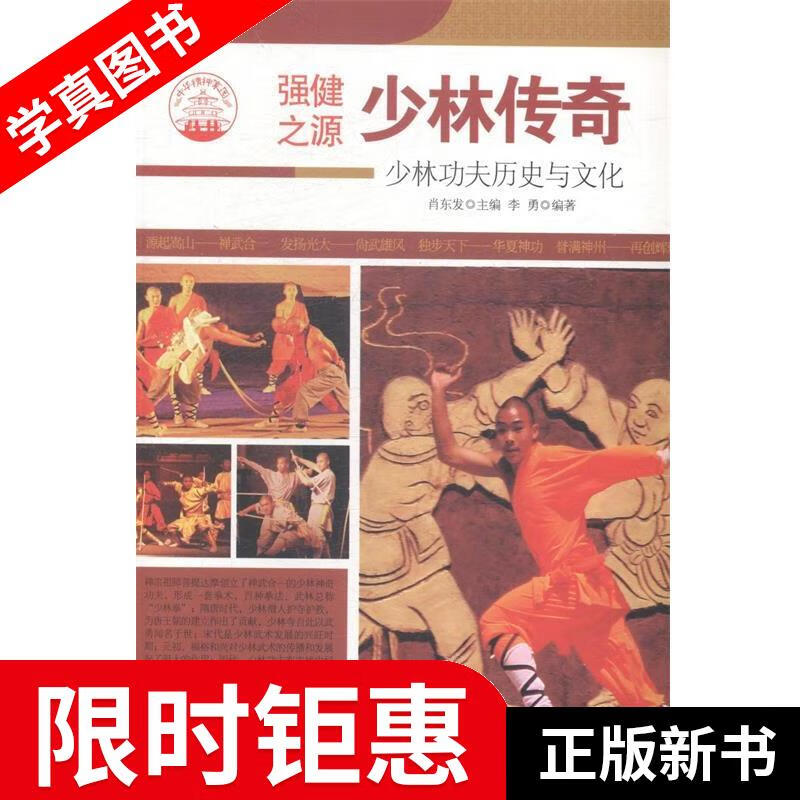 —少林传奇 李勇 现代出版社