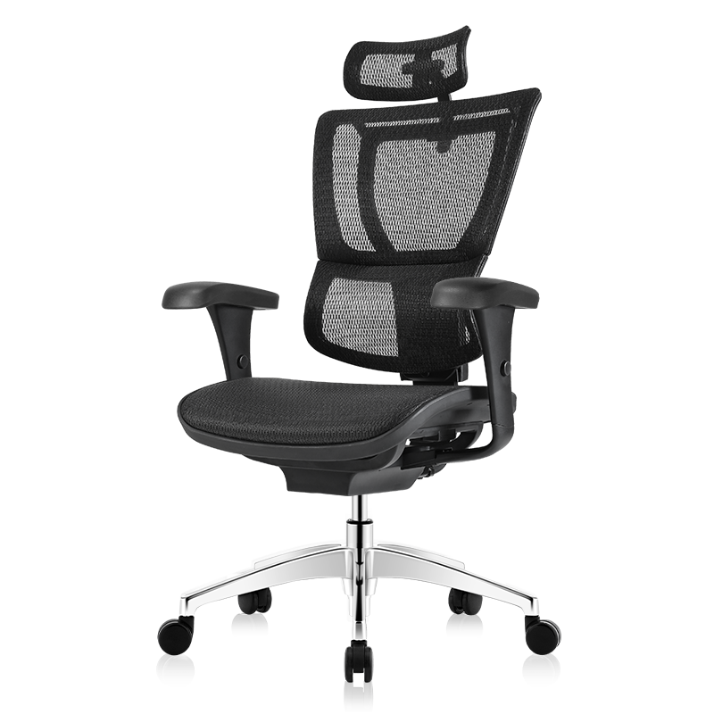 Ergonor保友优b电脑椅人体工学椅家用电竞椅办公椅子靠背椅老板椅 黑色(美国网） 升级款