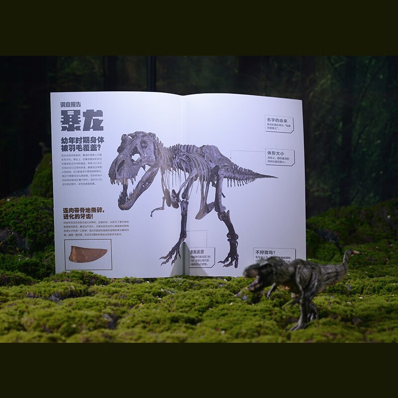 恐龙有绝招（全球三大恐龙博物馆日本福井恐龙博物馆惊艳出品！详情图