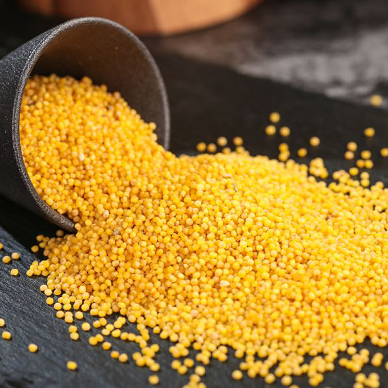 5kg大同小米杂粮小黄米