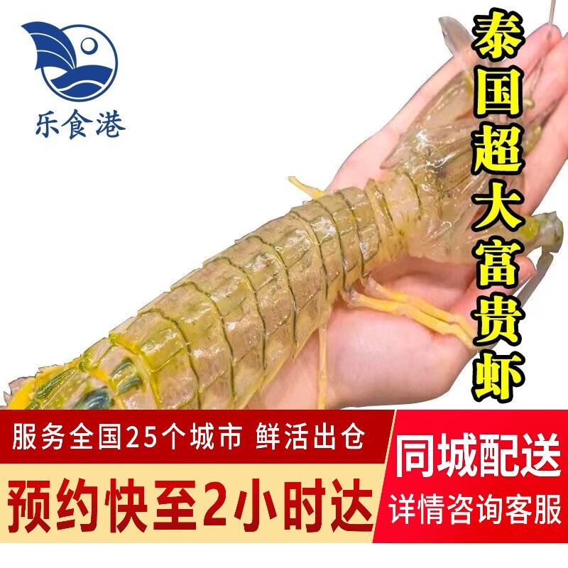 乐食港鲜活富贵虾 500g（2-3只）虾类 活虾大虾海鲜水产 500g（2-3只）