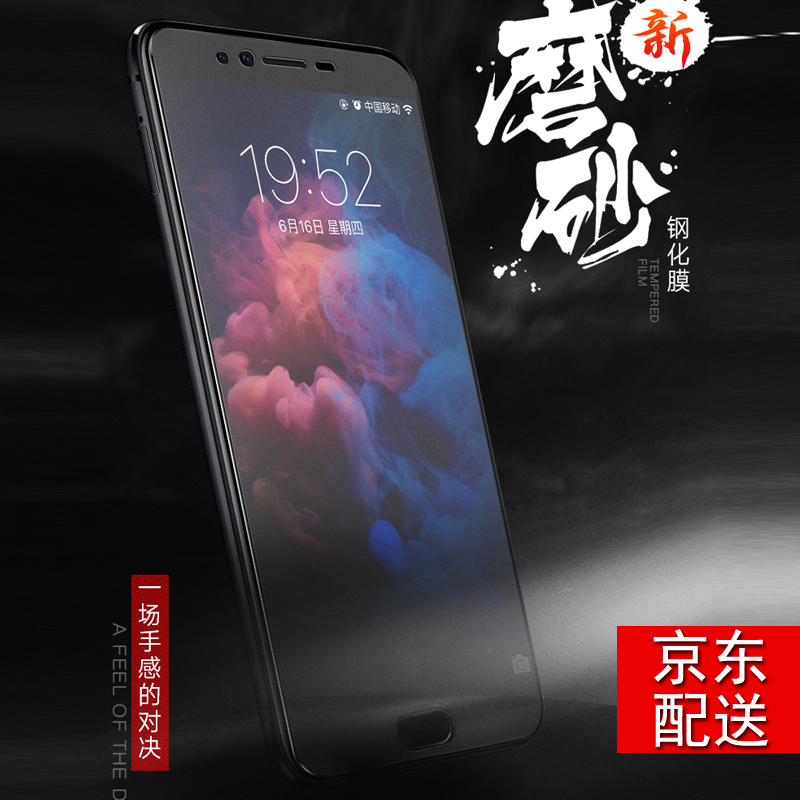 NewYi x9splus磨砂钢化膜全屏蓝光手机膜 适用于vivo X9/X9plus/x9s 磨砂钢化膜+后膜 X9sPLUS