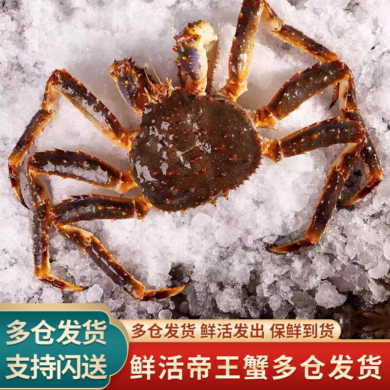 【鲜活】悦芳华 鲜活蟹 超大螃蟹蟹 长脚蟹海鲜水产蟹类年 4斤/整只