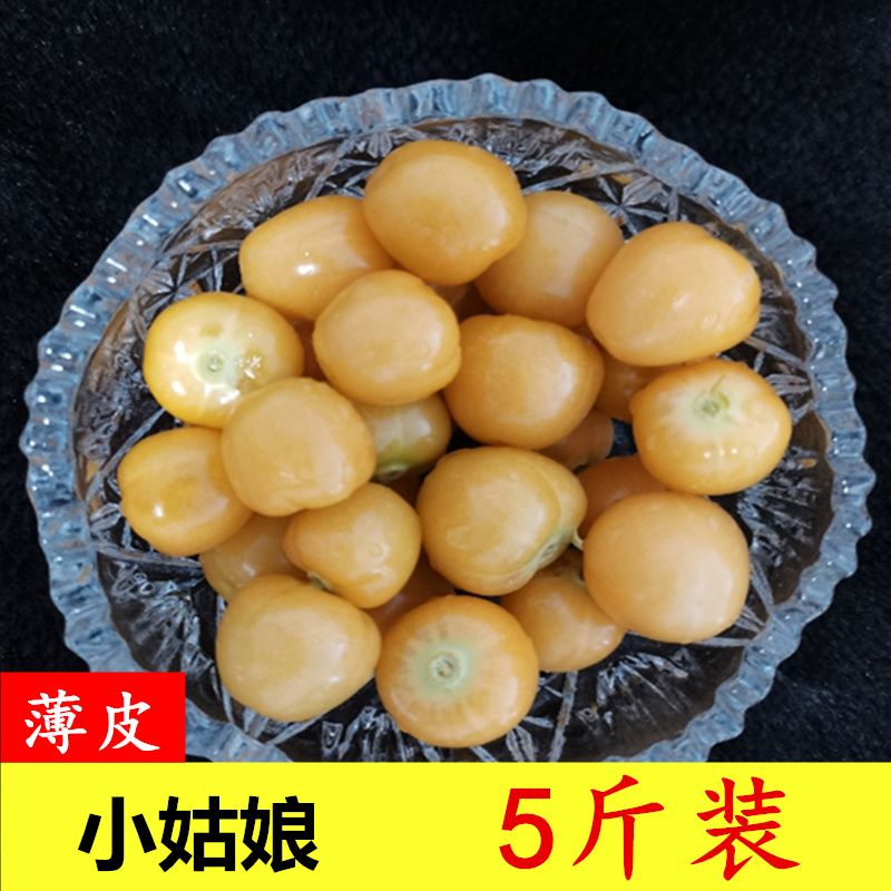 玫栀 顺丰快递小姑娘果笨菇娘皮薄甜东北特产水果新鲜
