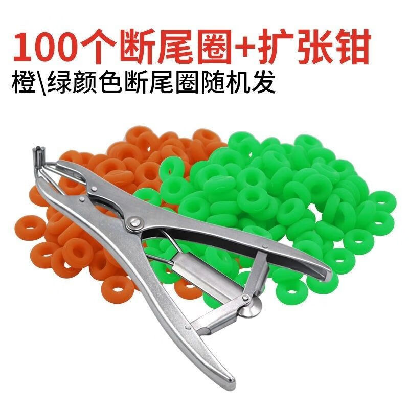 扩张钳羔羊断尾皮筋无血兽用小羊剪尾器胶圈 100个断尾圈 1把不锈钢钳